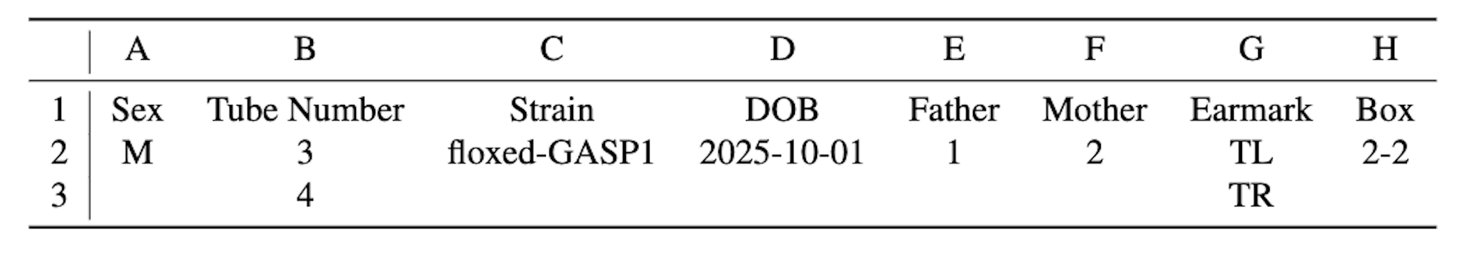 Import format